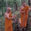 Vipassana and Other Meditations in Tbilisi (Metta.Land)