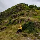 Fox Hikes Tbilisi
